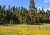 View of Heber View of Heber