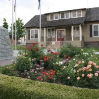 Townflower2 Townflower2