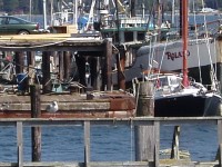 Sooke harbour Sooke harbour